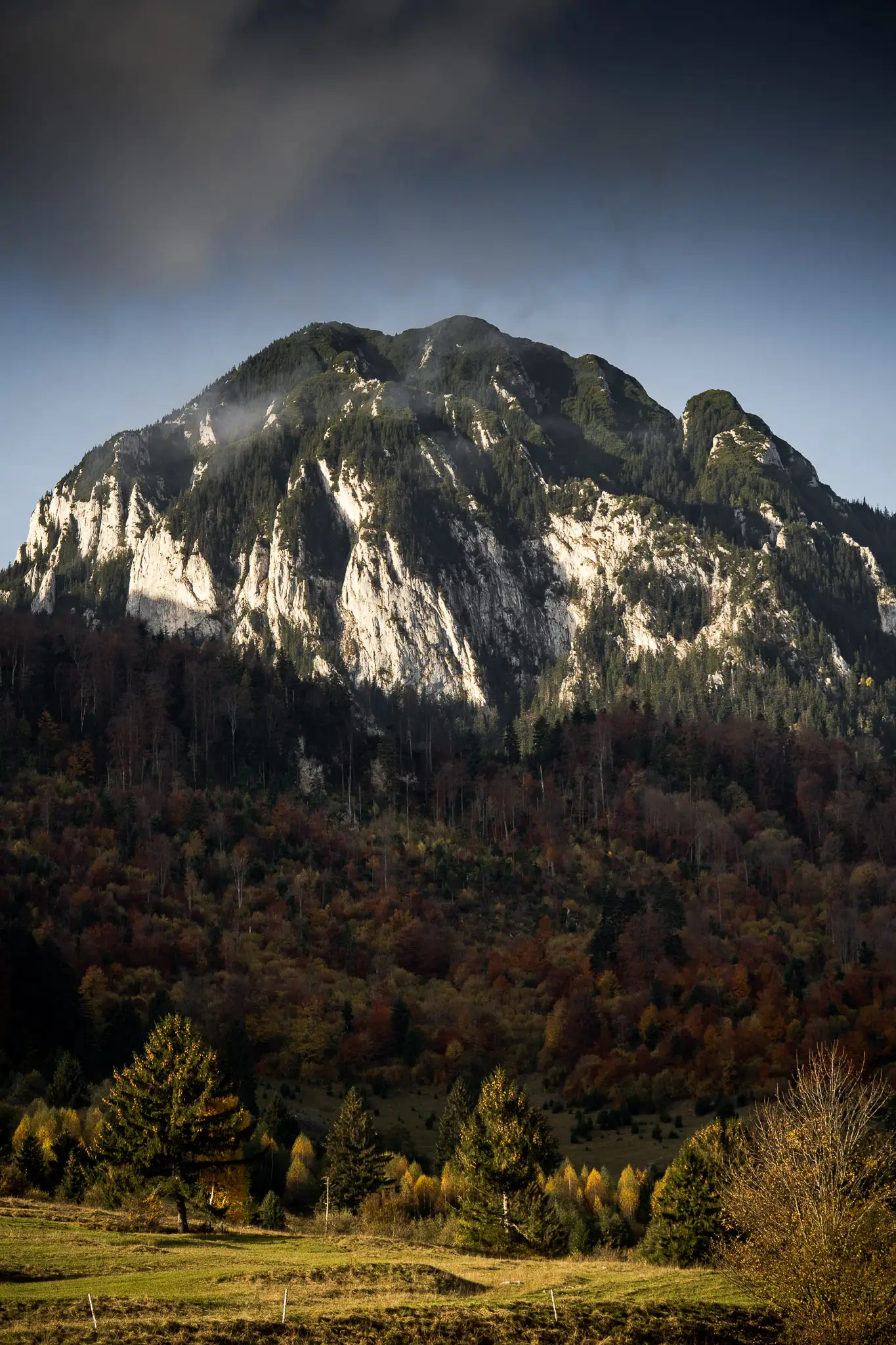 Cabana Curmatura Piatra Craiului