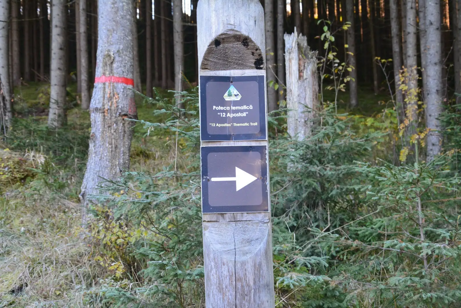 Gura Haitii- Poteca Tematica 12 Apostoli, Muntii Calimani