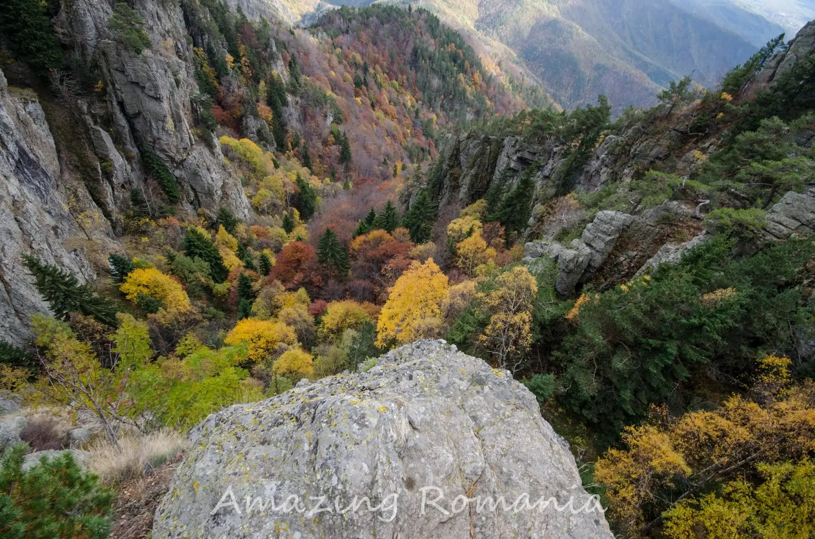 Masivul Cozia: Manastirea Turnu - Manastirea Stanisoara - Cabana Cozia - Manastirea Turnu