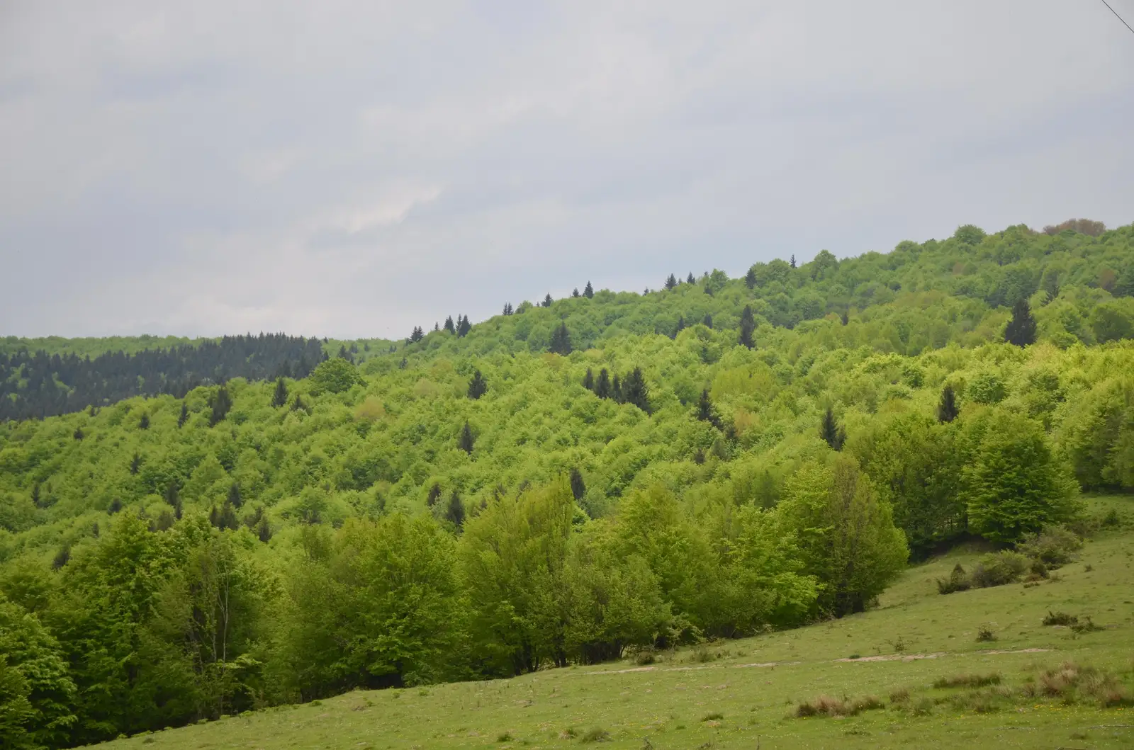 Cabana Piatra Arsă - Cabana Caraiman - Crucea Eroilor - Vârful Omu - Cabana Omu -Cabana Babele - Cabana Piatra Ar