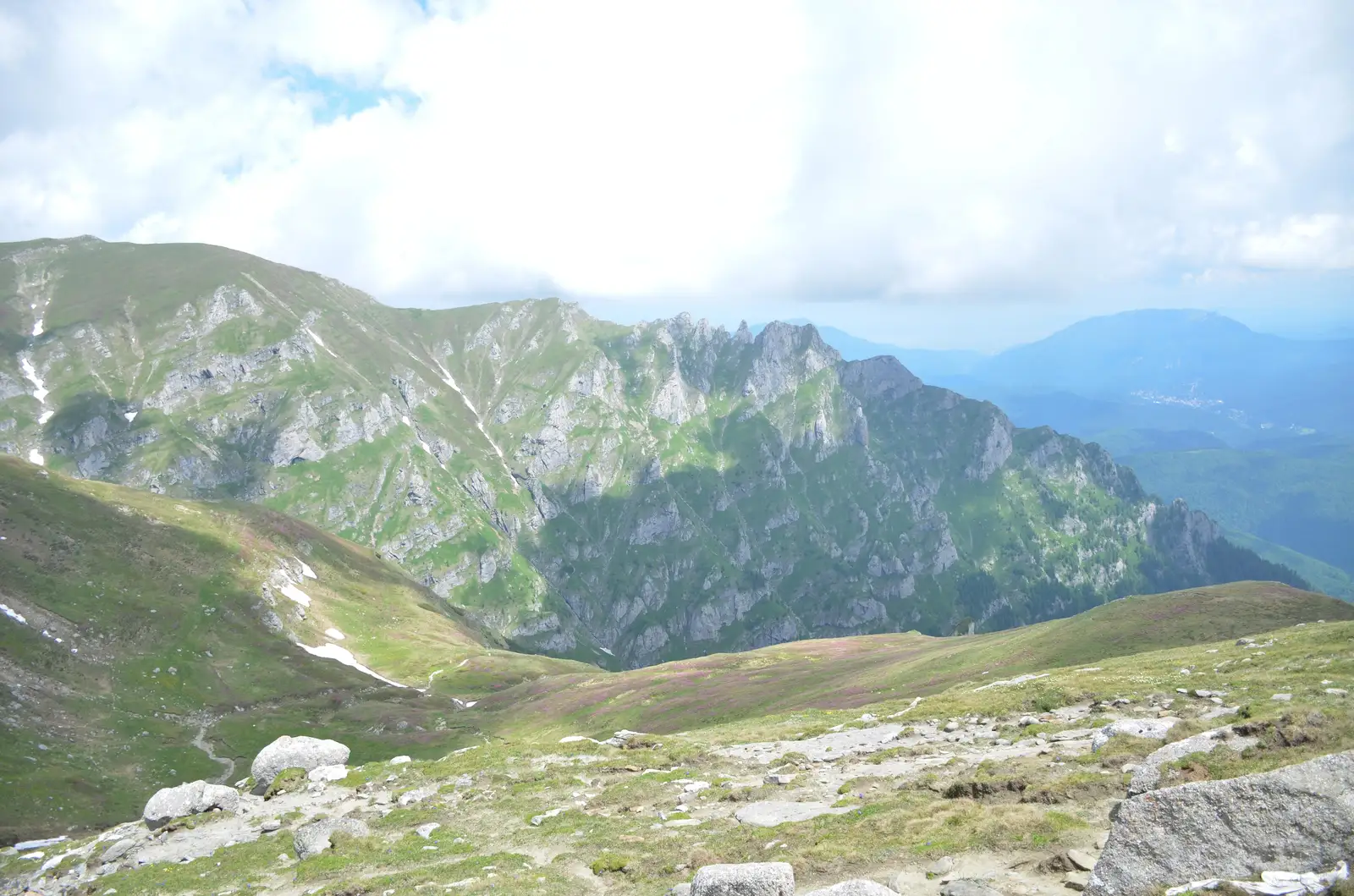 Lespezi si cornul caltunului