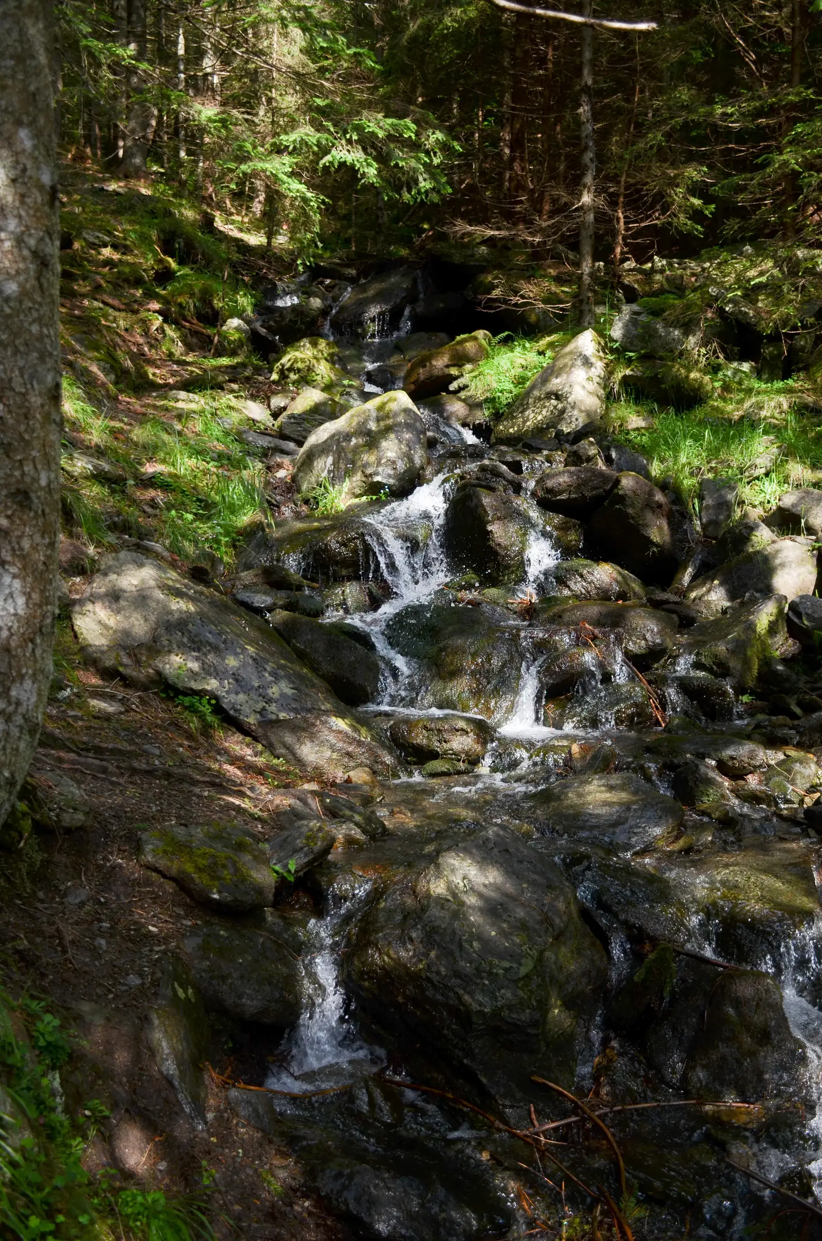 Malaiesti Malaiesti