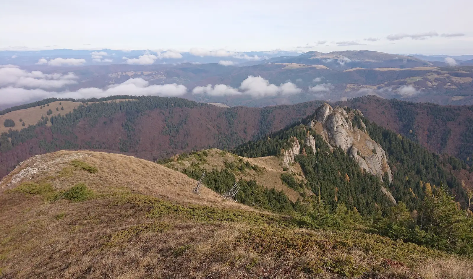 Ciucas dinspre nord Pirusca