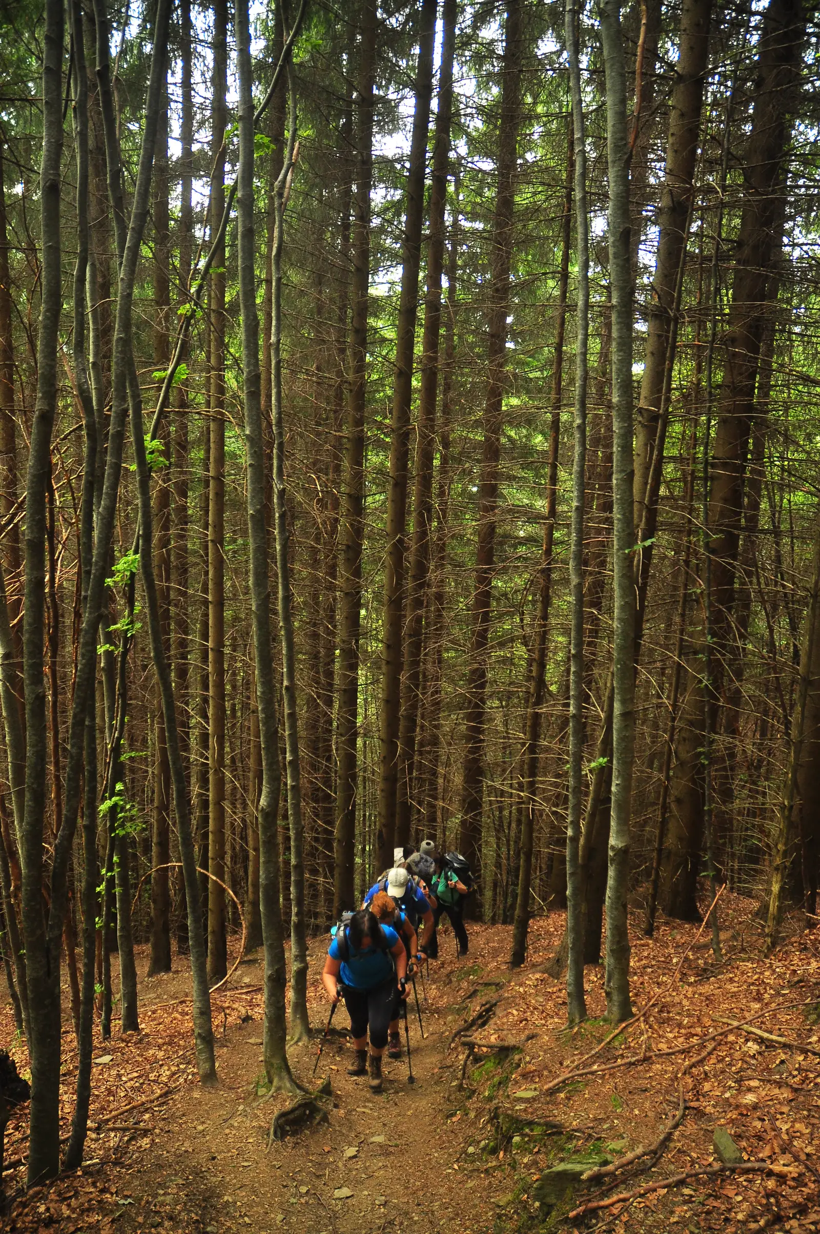 urcare lacul urlea dinspre Breaza