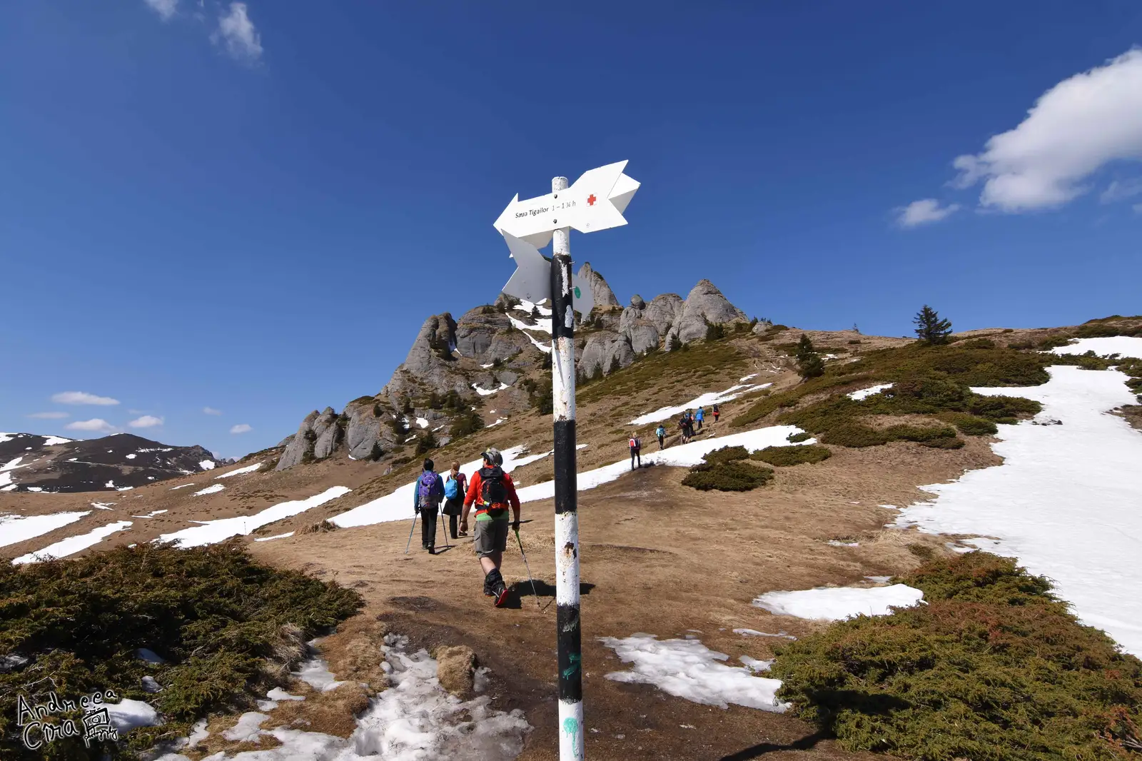 Circuit Vârful Ciucaș de la Cabana vârful Ciucaș și retur