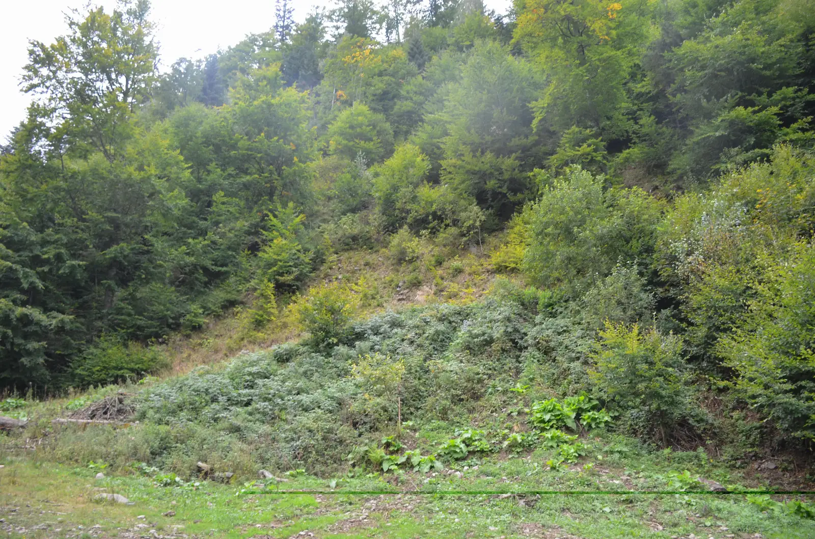 Fantana lui Botorog - Curmatura - Vf Turnu