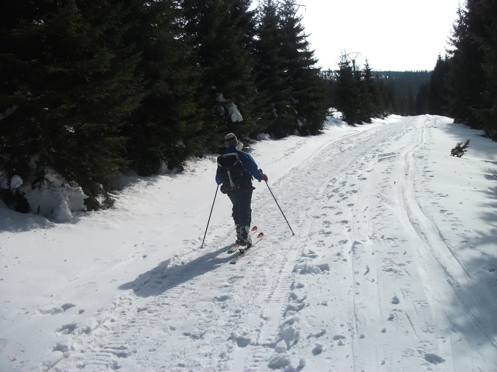 Muntele Baisorii - Valea Mamaligii - Crint - Valea Ierta - Muntele Baisorii