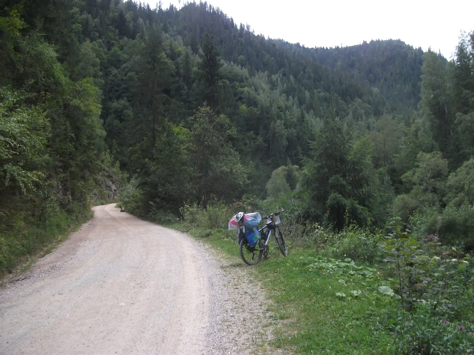 Maguri-Racatau - Vf. Dumitreasa - Vf. Buturii -Vidrenii de Sus - Maguri Racatau