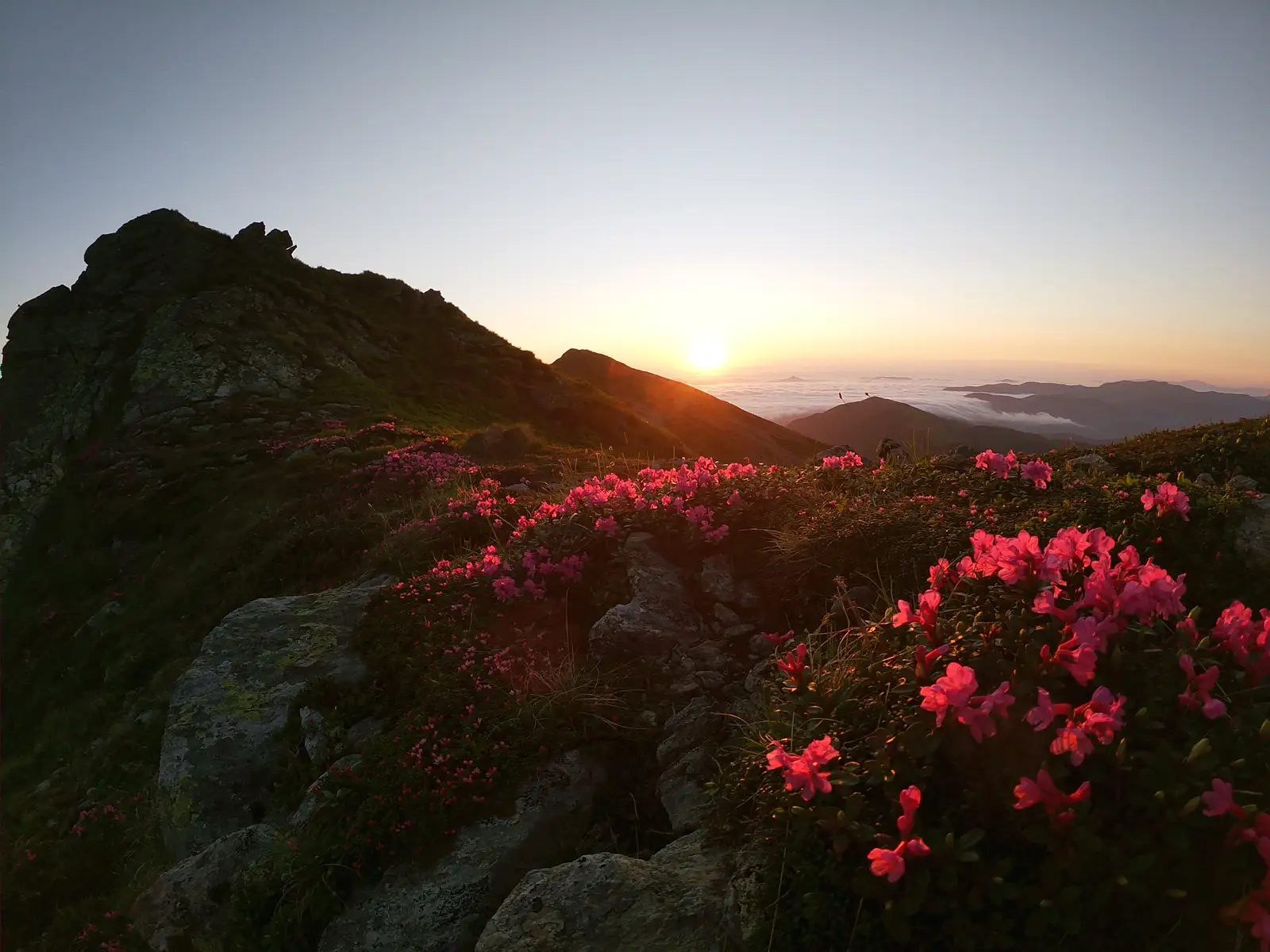 ,,Poteca Caprei Negre"' - Traseu tematic legat de istoricul caprei negre din Mtii  Rodnei 