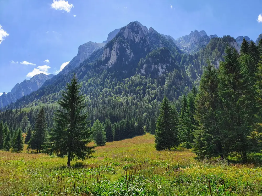 Busteni - Plaiul Munticelului - Poiana Coștilei - Pichetul Roșu - Poiana Izvoarelor - Gura Diham - Bușteni