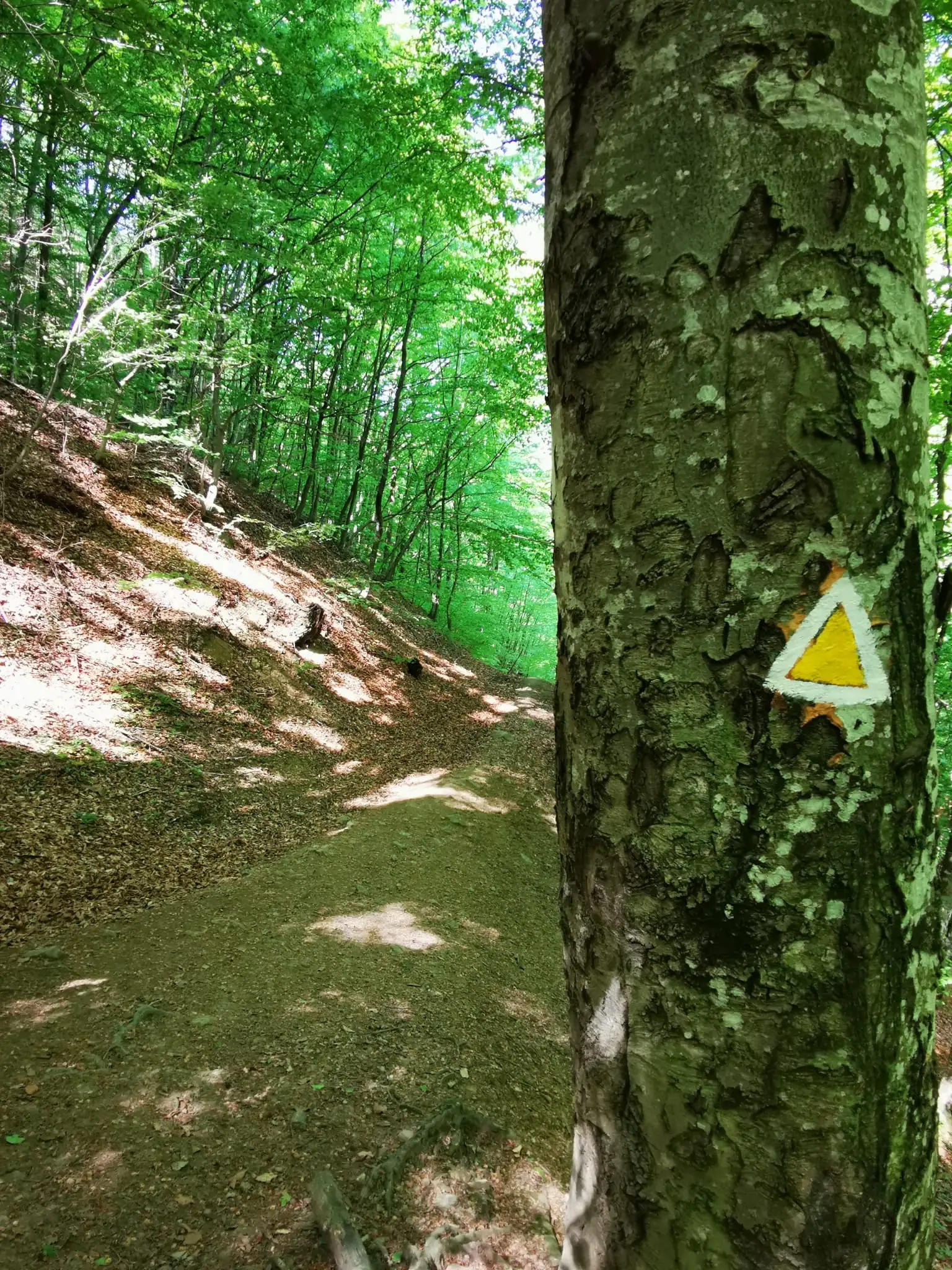 Gura Teghii - Valea Tigvei - Muchia Pleșei