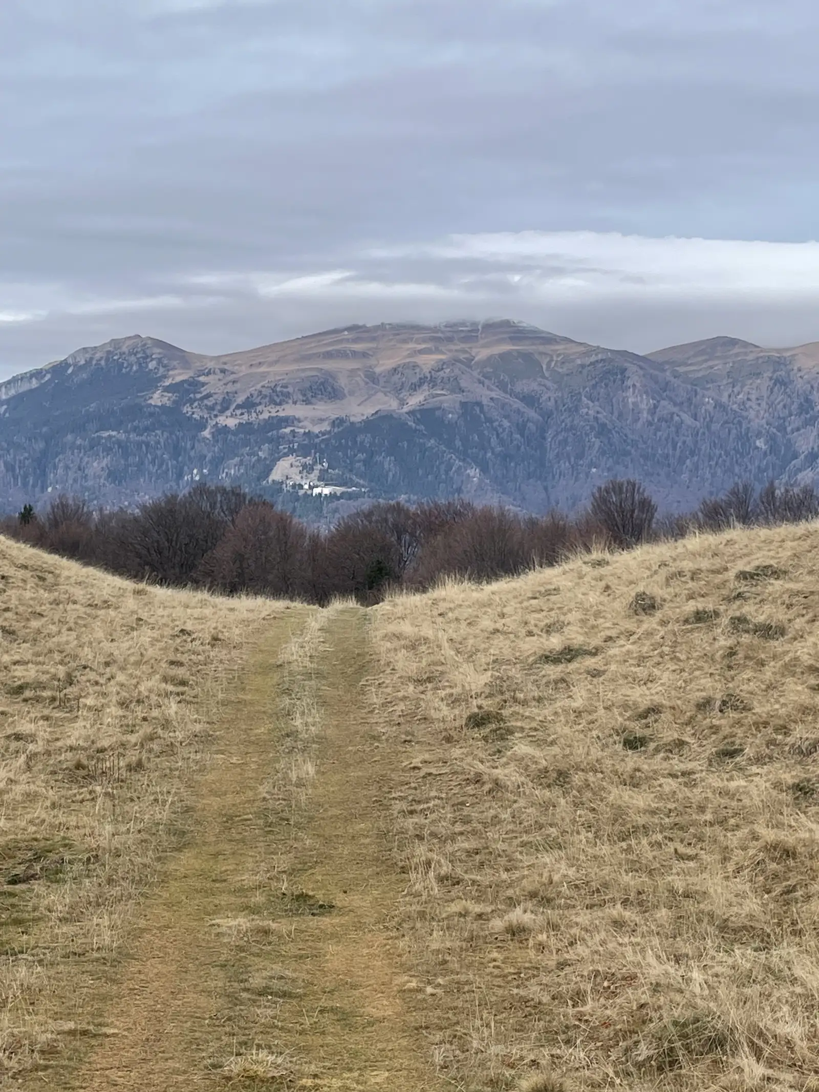 Gara Sinaia - Vârful Piscul Câinelui  - Posada h