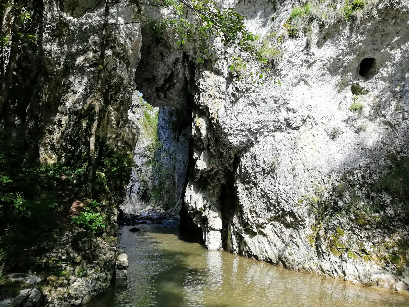 Cheile Râmețului in august