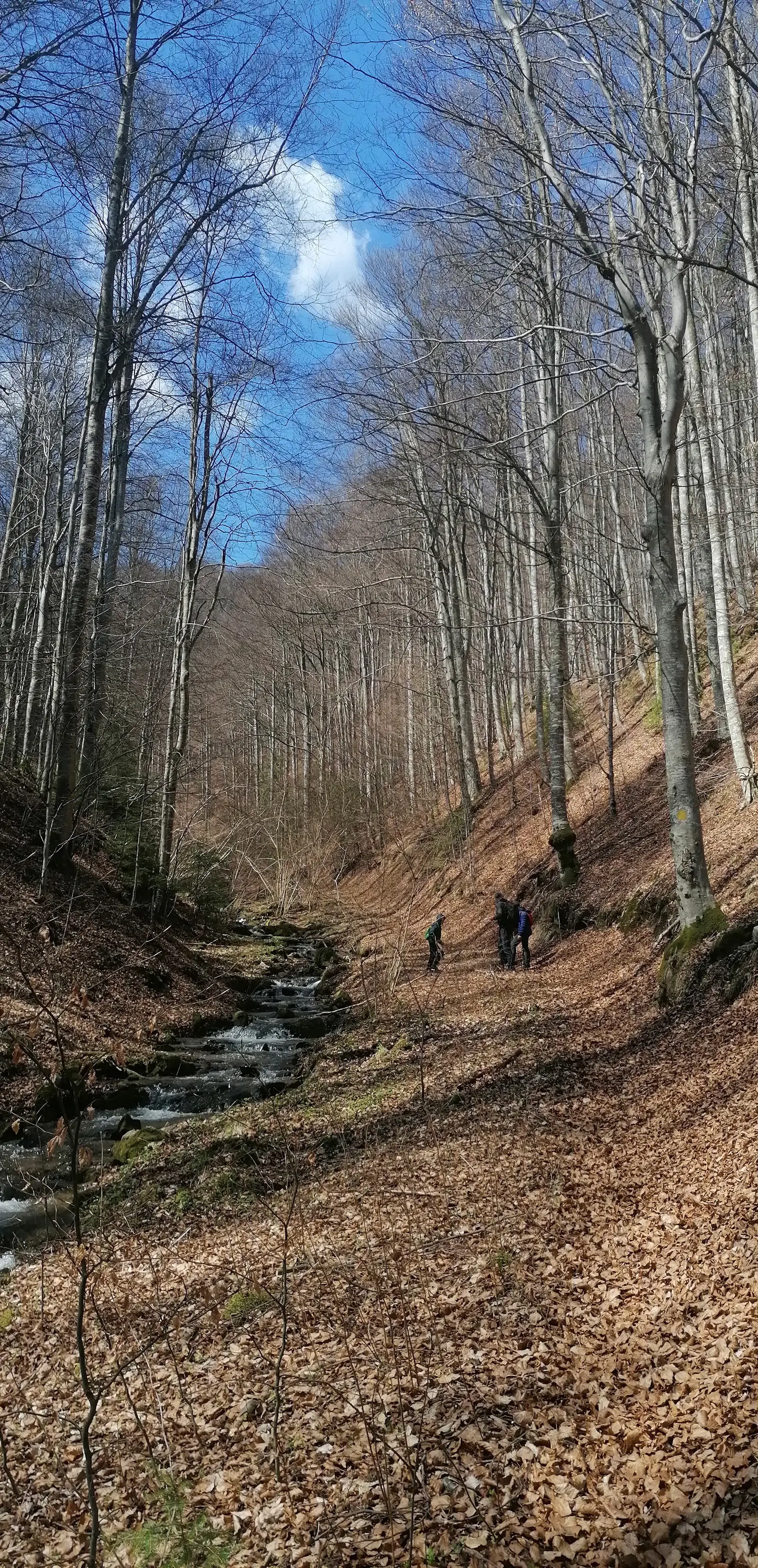 Sibiel - Valea Cetății - Fânațele Sibielului