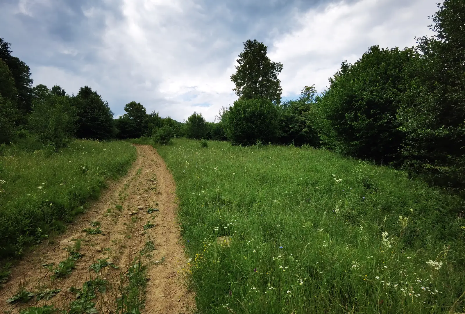 Gura Teghii - Valea Fulgeriș - Muchia Pleșei