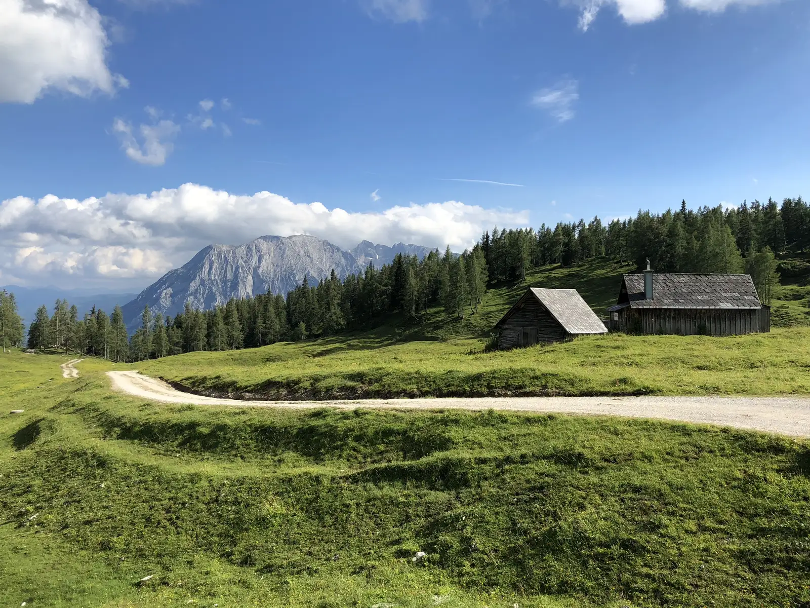 Cluj-Napoca (Auchan) - Borşa - Cluj-Napoca (Auchan)