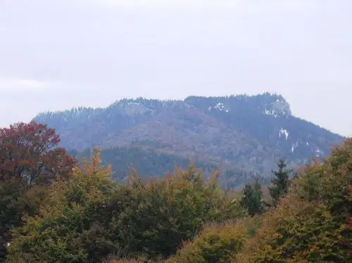 titlu