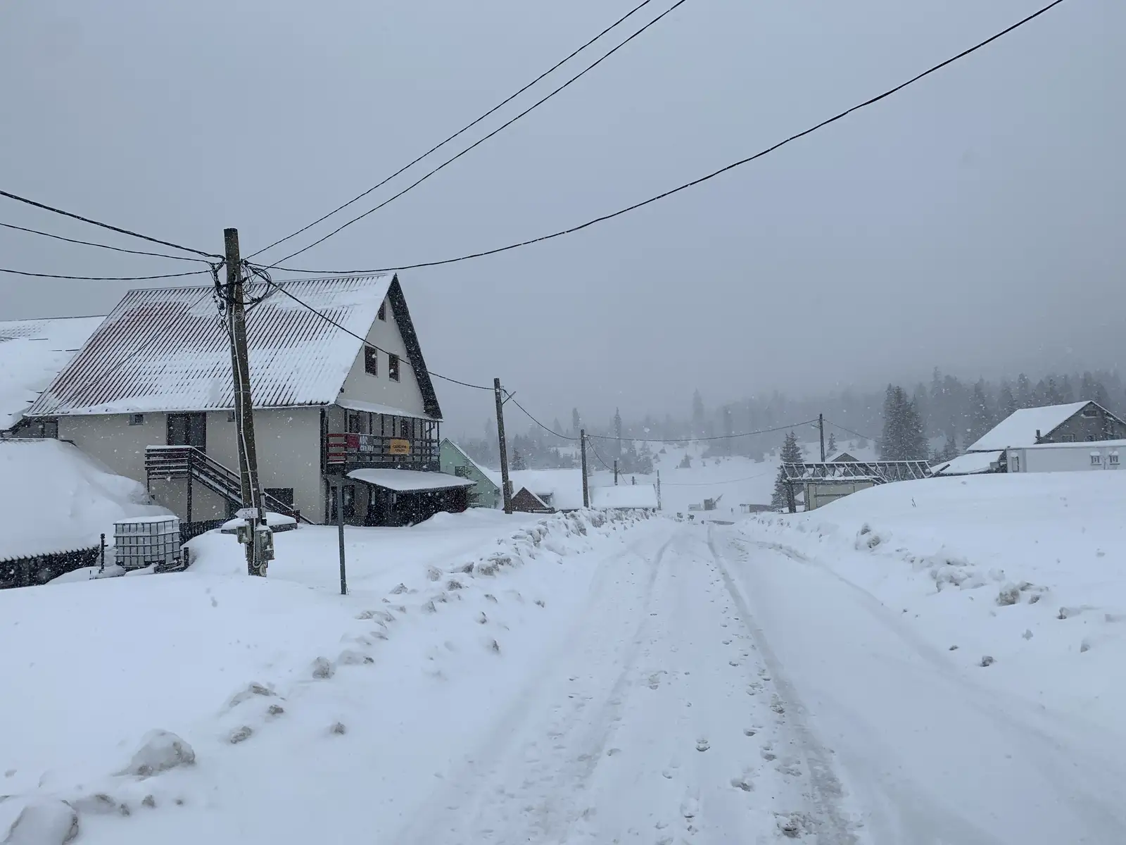 Padis Glavoi prin poiana Ponor Iarna