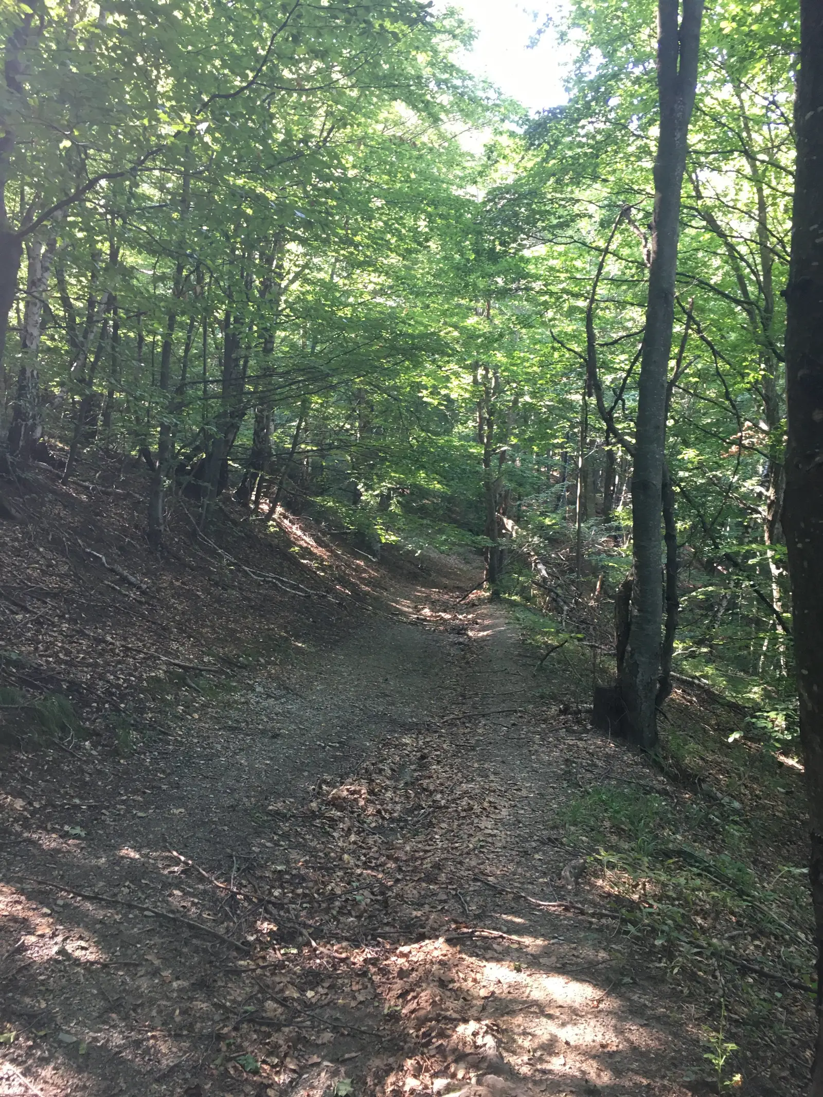 Circuit Sat Rimetea - Padurea Oprita -Sat Rimetea