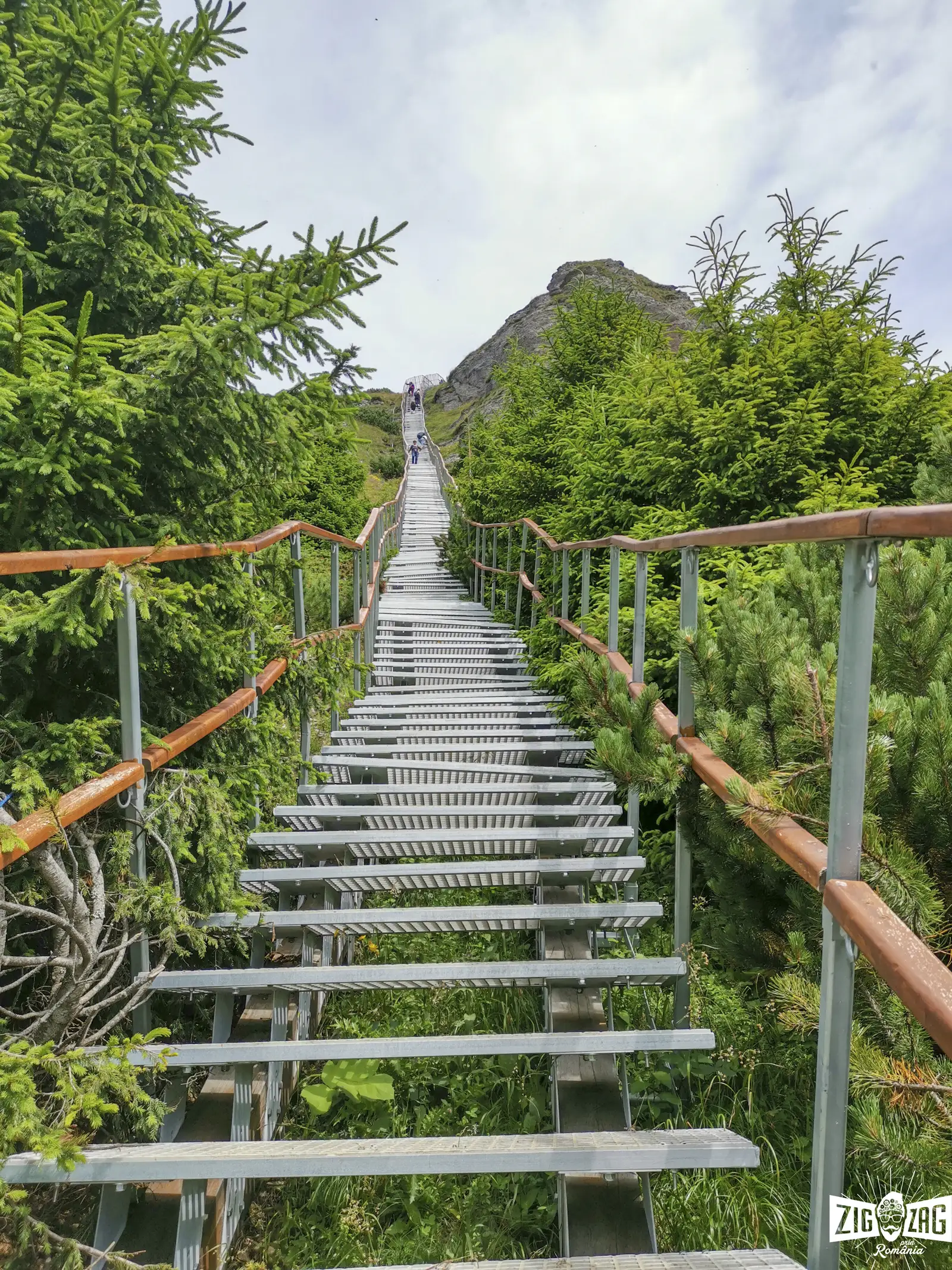 Circuit Cascada Duruitoarea - Cabana Dochia - Vf.Toaca retur