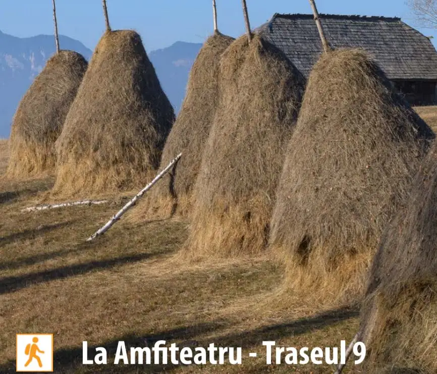 Moieciu de Sus - T9 - Traseu "La Amfiteatru"