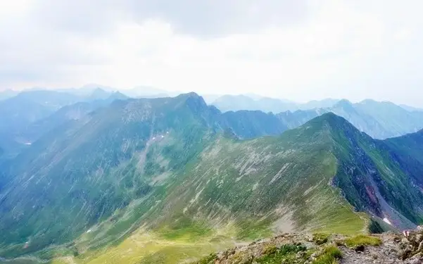 Circuit Vf. Moldoveanu de la Stâna lui Burnei (Valea Rea)