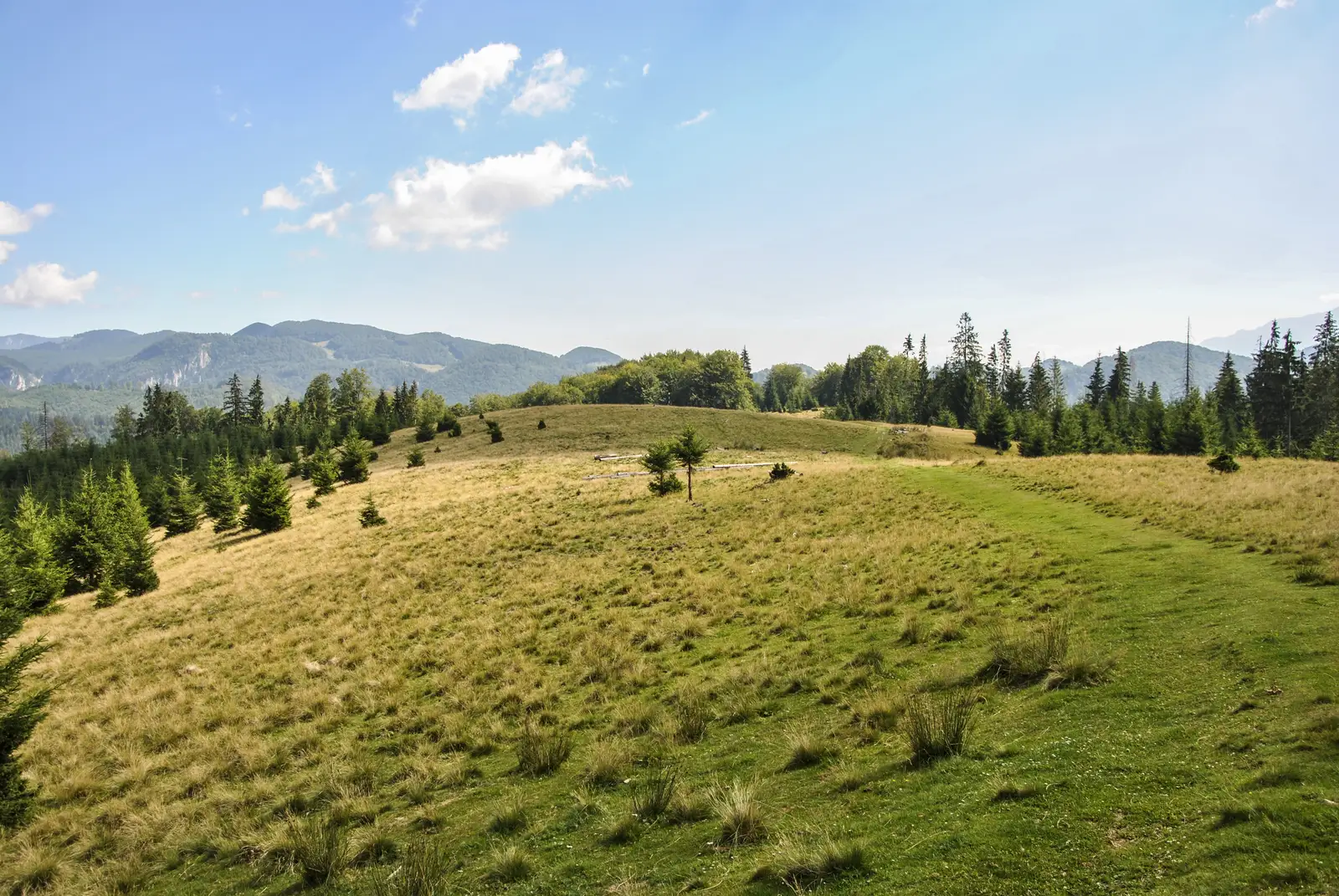 Dâmbovicioara-Muchia Frumoasei