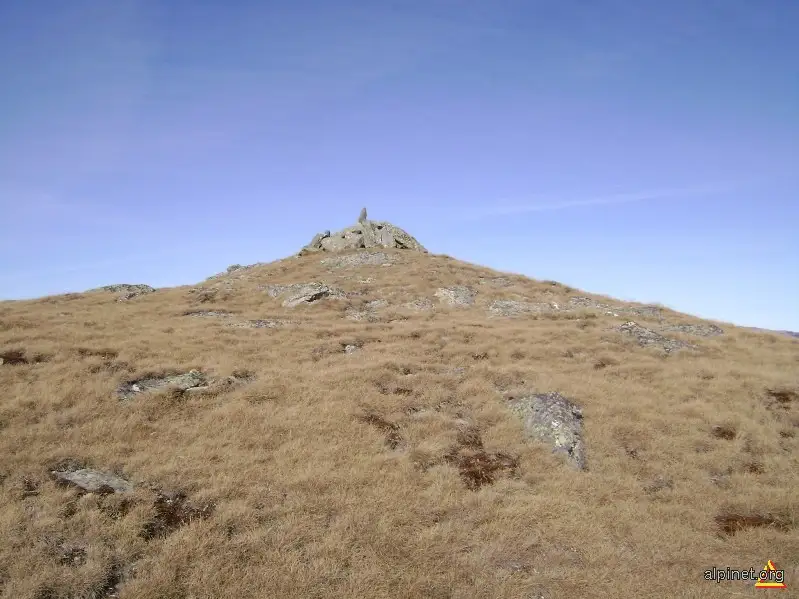 Curmătura Vidruței - Vârful Fratoșteanu Mare - Culmătura Vidruței