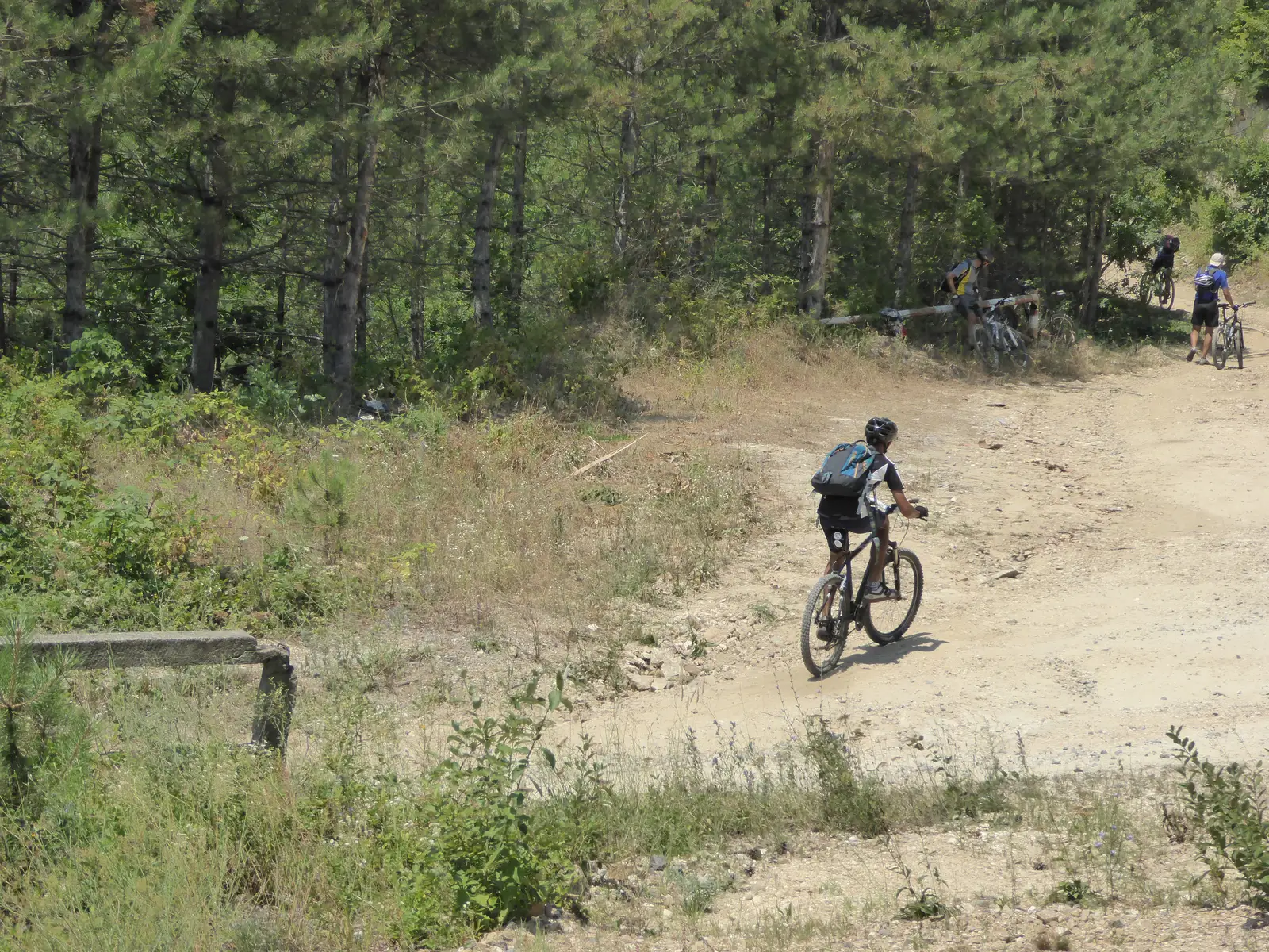 Circuit V Cernei (P Schit)- Ob Closani-Sa Arsasca - Poiana Schitului