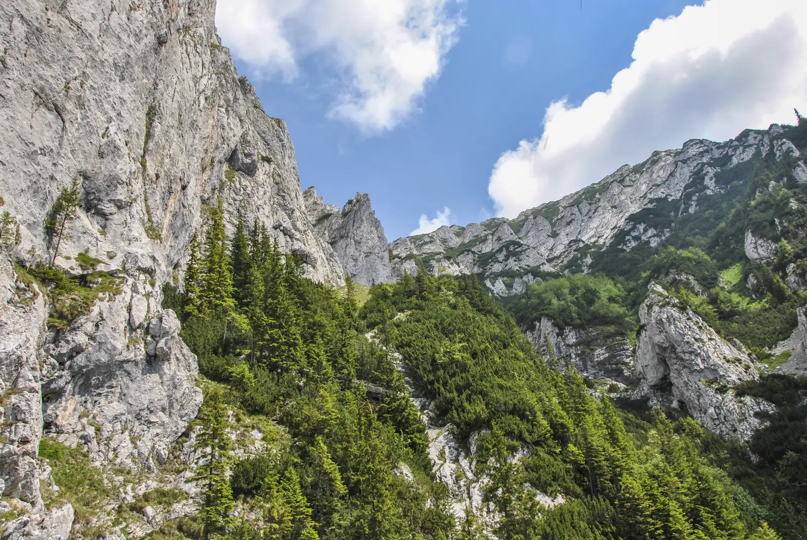 Refugiul Diana-Padina Popii-Vf. Padina Popii