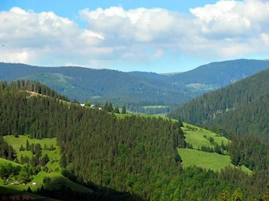 Circuit scurt Vf. Teșiturilor din Valea Odrângușa (Săcuieu)