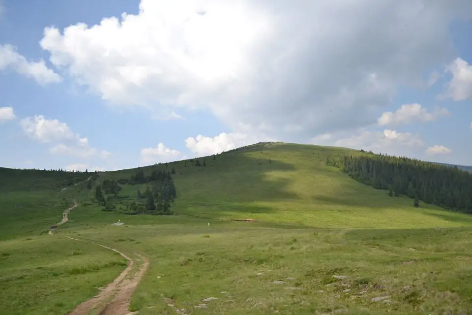 Cantonul Silvic Șerbănel - Refugiul Cânaia - Şaua Cânaia - Vf. Cindrel