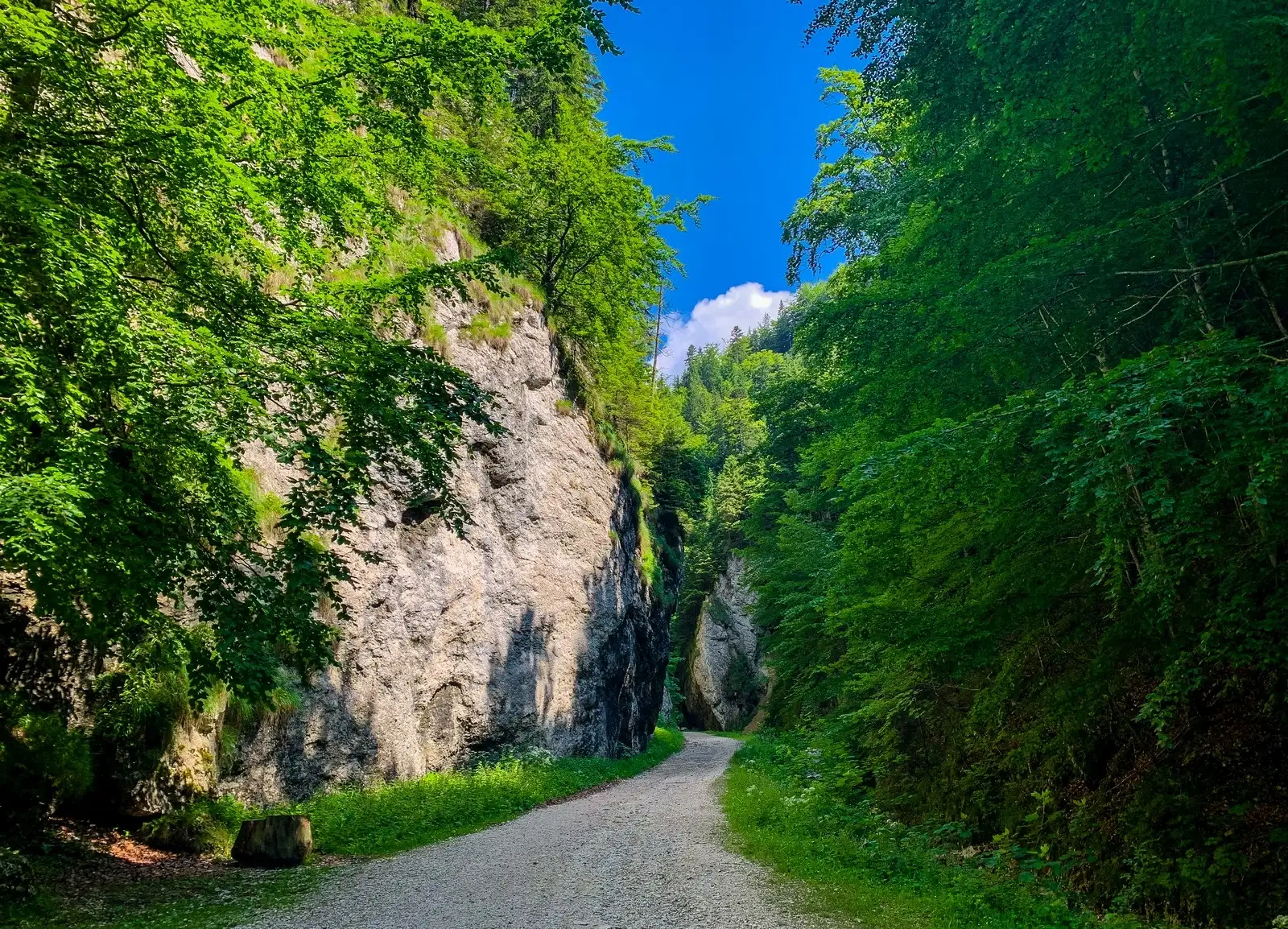 Zărnești – Prăpăstiile Zărnești