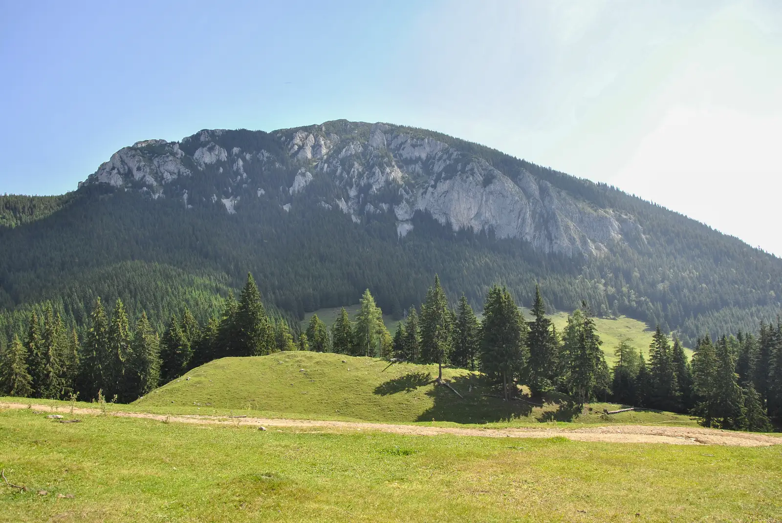 Cabana Curmătura-Valea Vlăduşca-Casa Folea