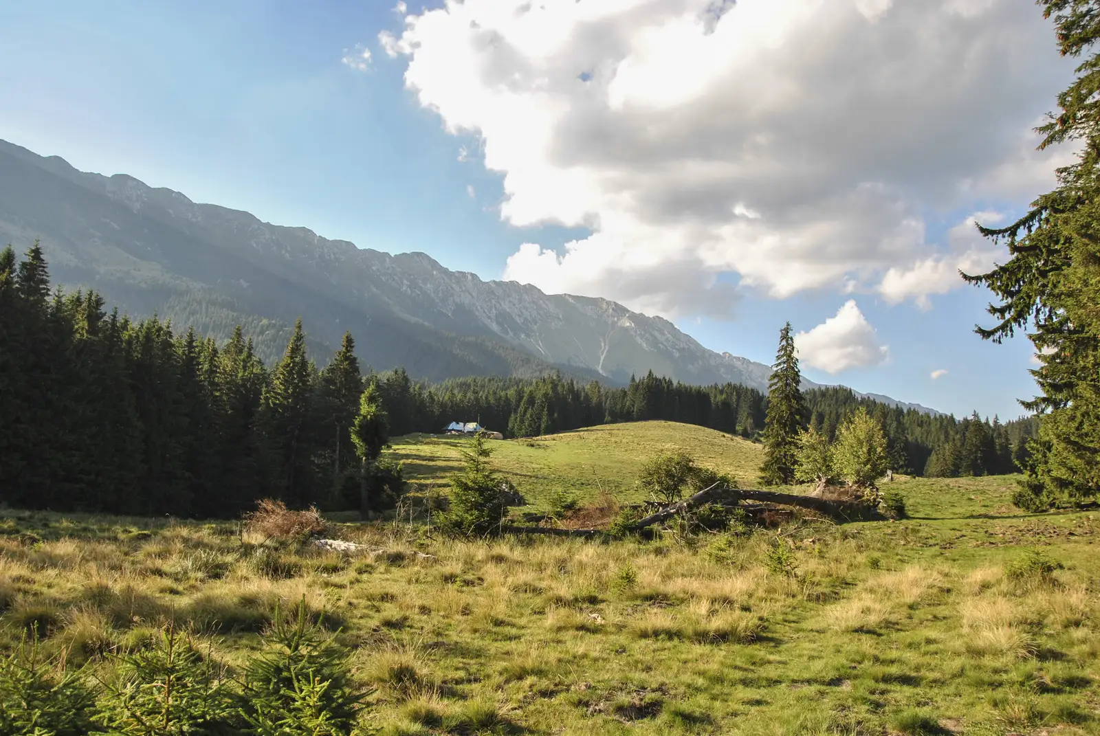 Podu Dâmboviţei -Cabana Brusturet-La Table