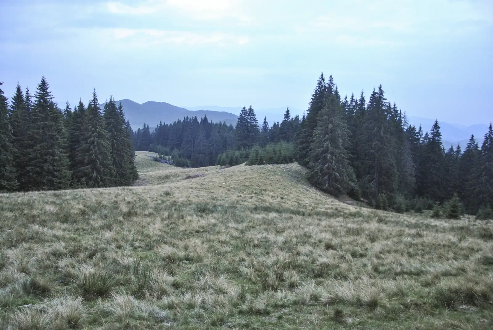 Şaua Funduri-Muntele Funduri-BA