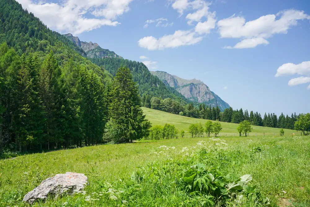 Gara Sinaia - Poiana Stânii