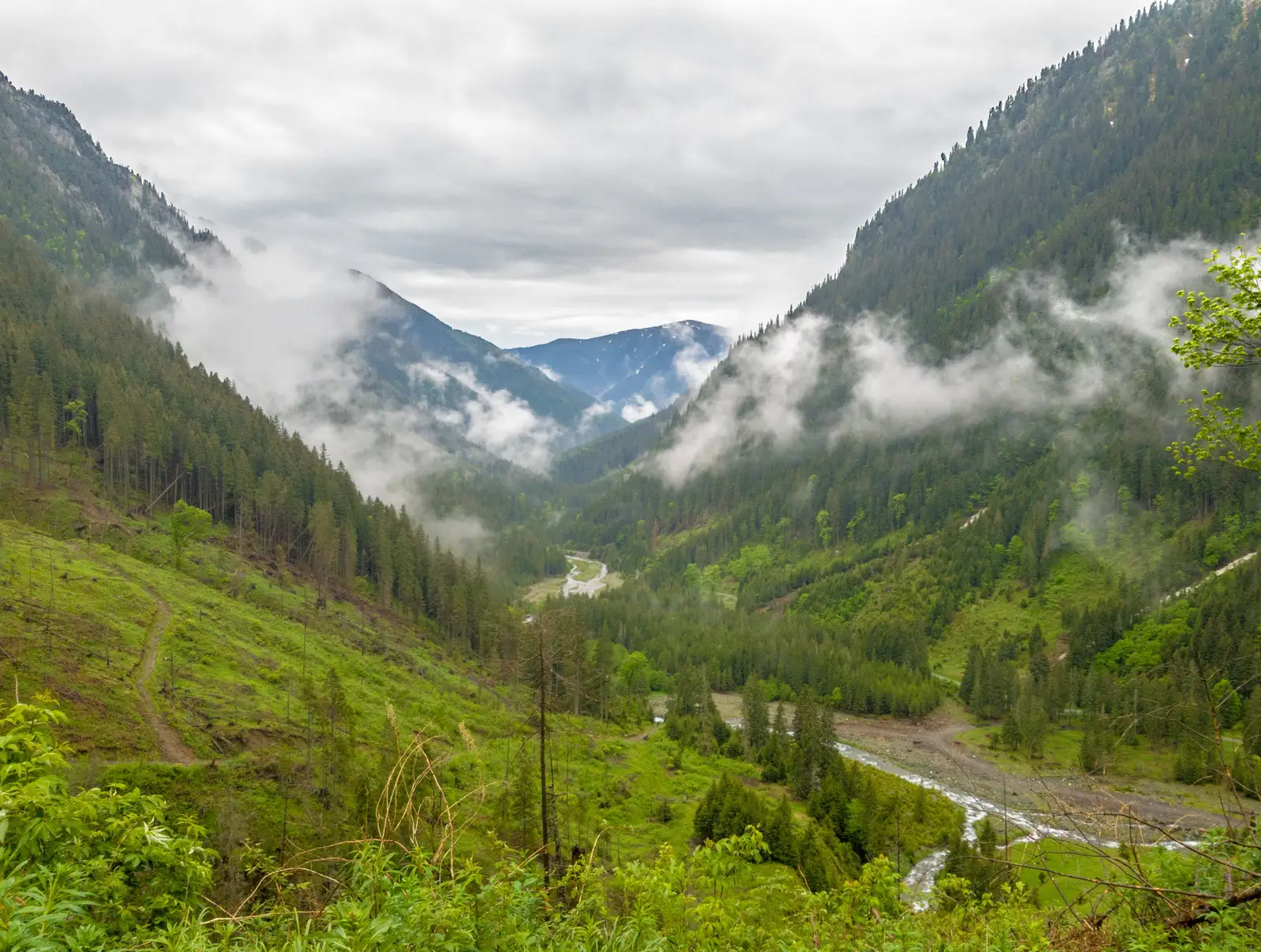 Stana lui Burnei - Vf Dara. Nemarcat