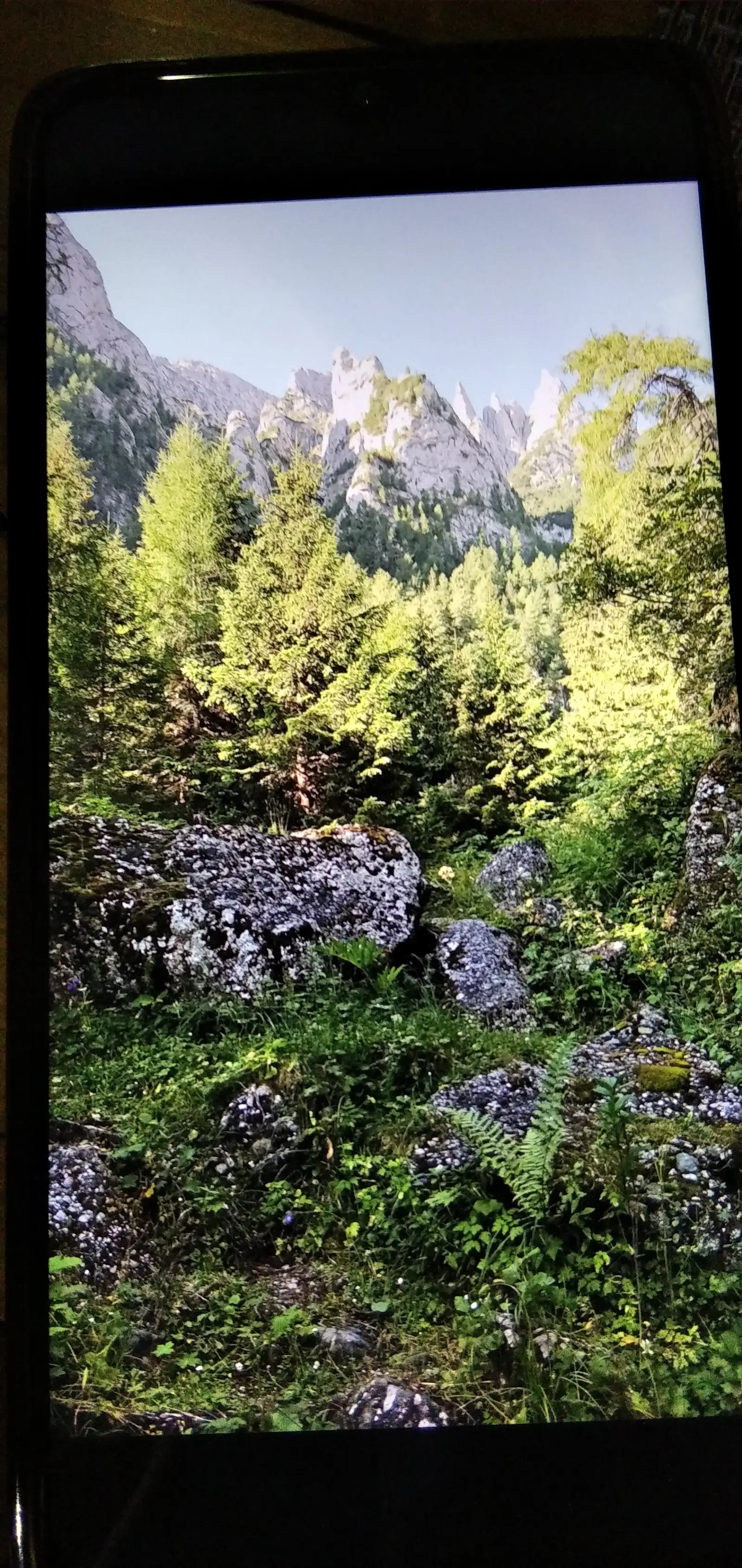 Bușteni-Creasta Balaurului-vf. Bucșoiu-Brâna Caprelor -Cabana Mălăiești -Tache Ionescu