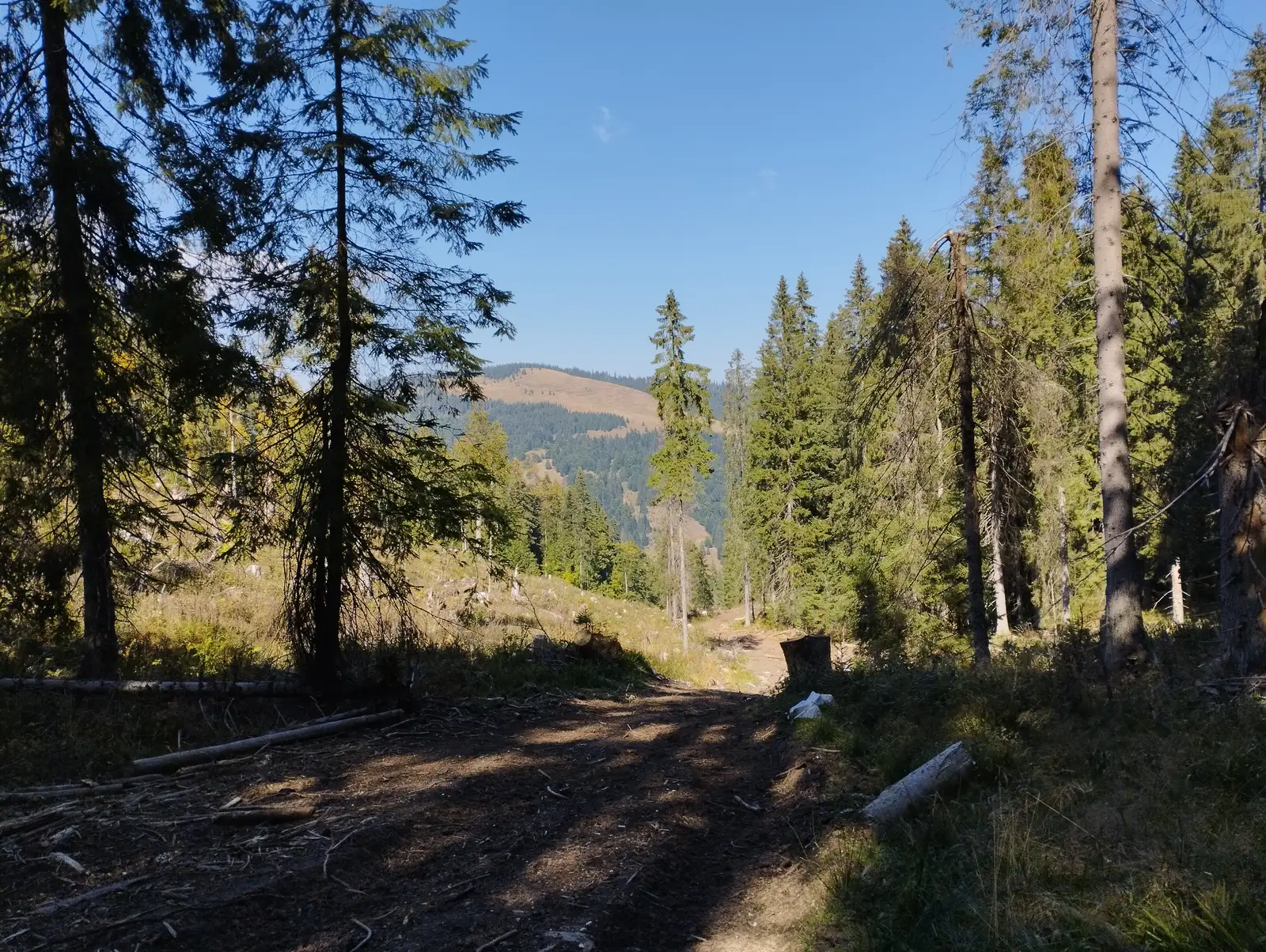 Coborârea dinspre Poiana Mărului pe drum