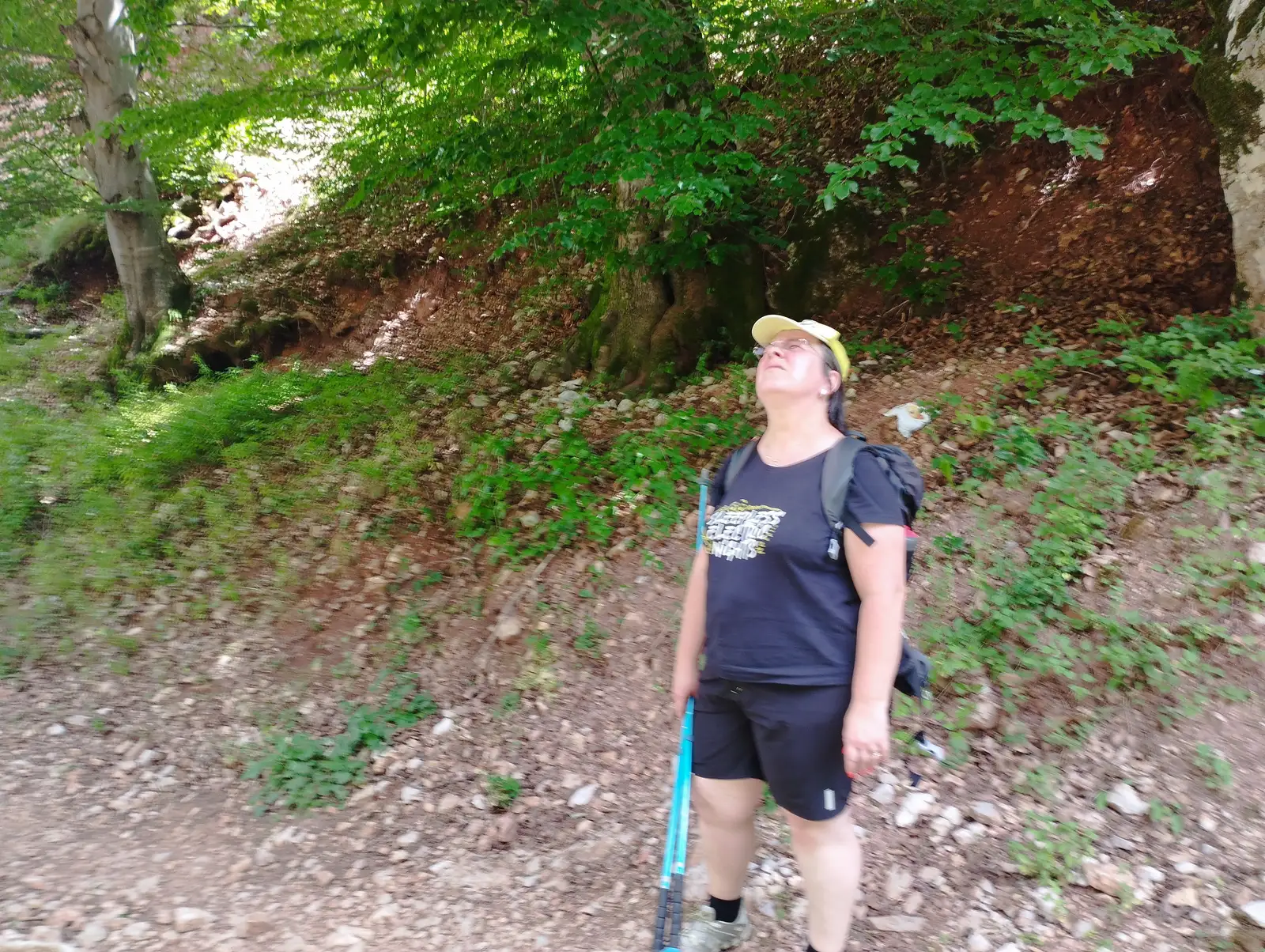 Lazuri - Cheile Lazurilor - Păstrăvăria Șoimuș - Lazuri 