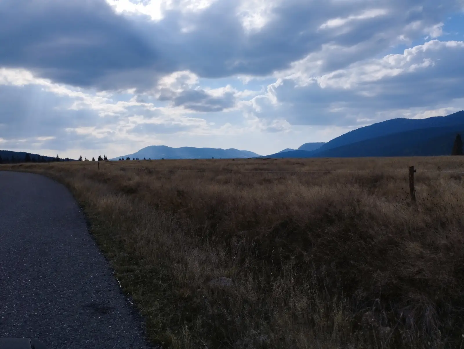 Doda Pilii - Poiana Horea 