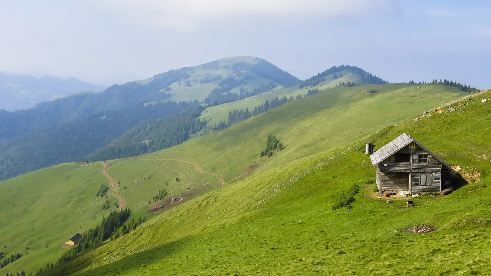 Rodna - Satul Valea Vinului - Şaua Curăţel