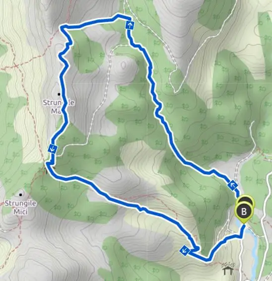 Cheile Horoabei - Șaua Strunga - Cabana Padina