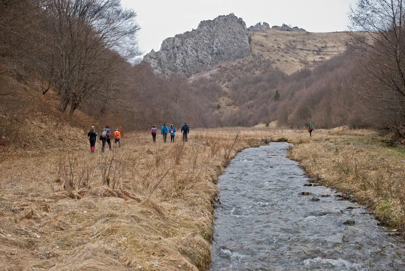 Ocolișel - Cheile Ocolișelului - Valea Vadului