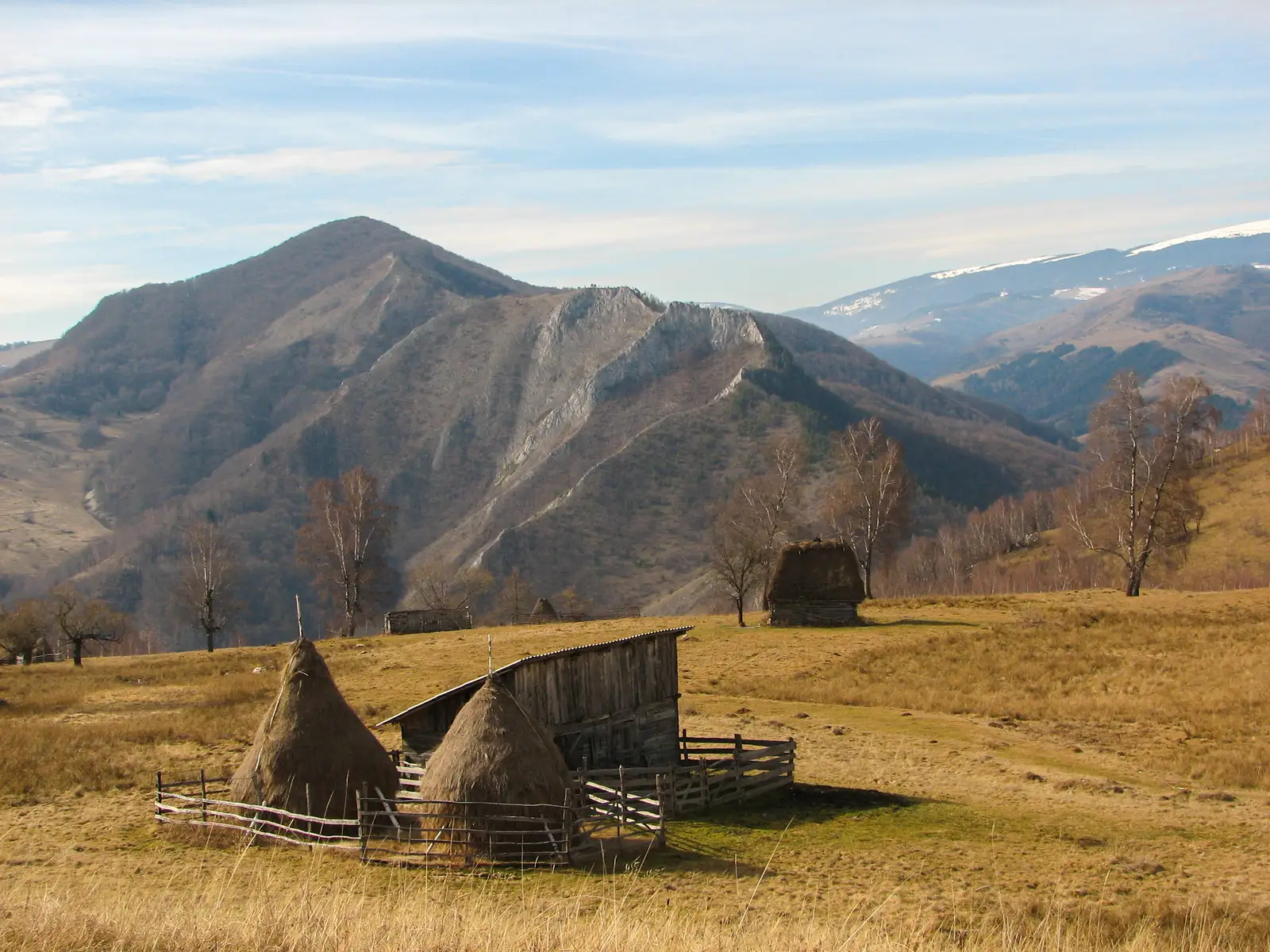 Lunca Arieșului - Vârful Vulturese - Rezervaţia Scăriţa Belioara