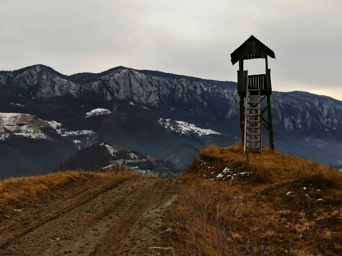 Culmea Muncelu Vulturese din Poșaga