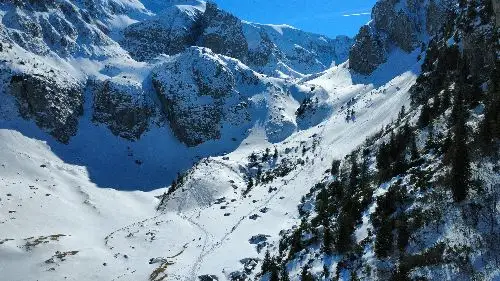 
                                                         Geanau Marian