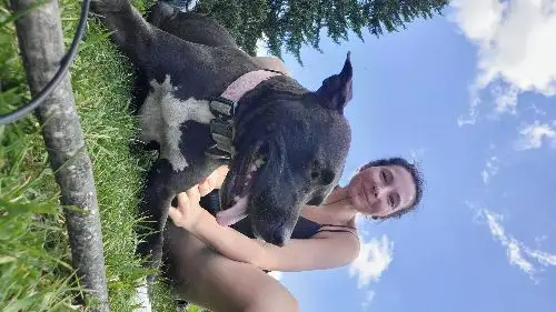
                                                         Mona și Nala Toma